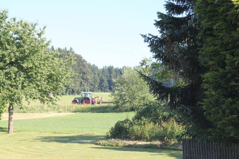 Kirwa-Aufbau2016 (38).png